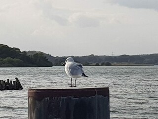 Casa per le vacanze Röbel Müritz Ambiente 39
