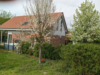 Casa per le vacanze Röbel Müritz Registrazione all'aperto 5