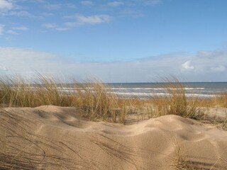 Holiday house Egmond aan Zee Environment 14