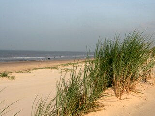 Vakantiehuis Egmond aan Zee Omgeving 15