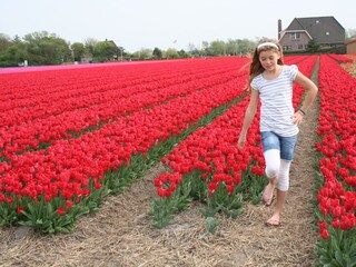 Holiday house Egmond aan Zee Environment 18