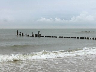 Casa per le vacanze Bergen aan Zee Ambiente 25