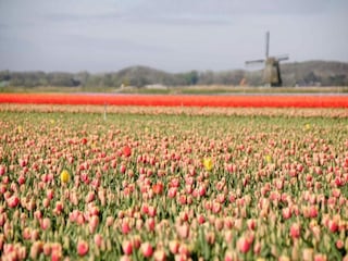 Ferienhaus Bergen aan Zee Umgebung 22
