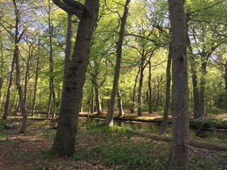 Vakantiehuis Bergen aan Zee Omgeving 27