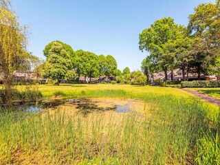 Vakantiehuis Bergen aan Zee Omgeving 20