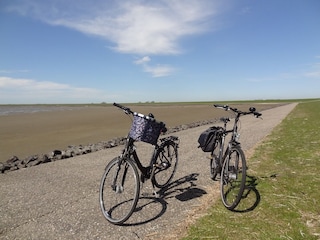 Radwege am Deich