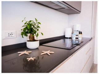 Apartamento de vacaciones Brenzone sul Garda Características 14