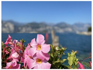 Appartamento per vacanze Brenzone sul Garda Ambiente 21