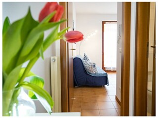 Apartamento Brenzone sul Garda Características 20