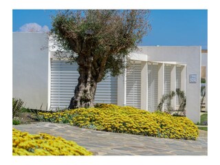 Appartamento Stintino Registrazione all'aperto 8