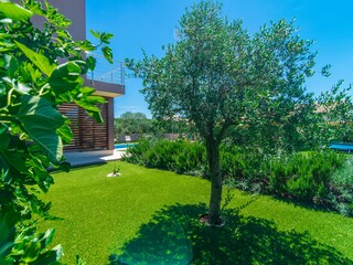 Villa Galižana Registrazione all'aperto 10