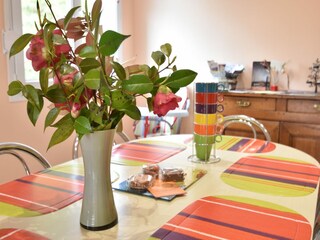 Vakantiehuis Sainte-Cécile  39