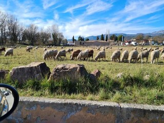 Appartamento Montauroux Ambiente 18