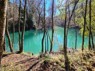 Appartamento Montauroux Ambiente 19