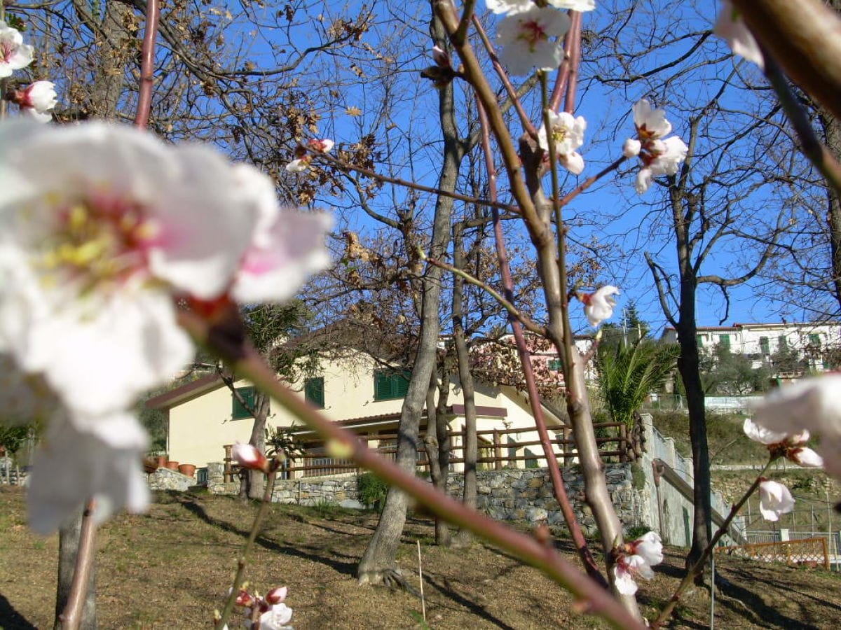 Frühling