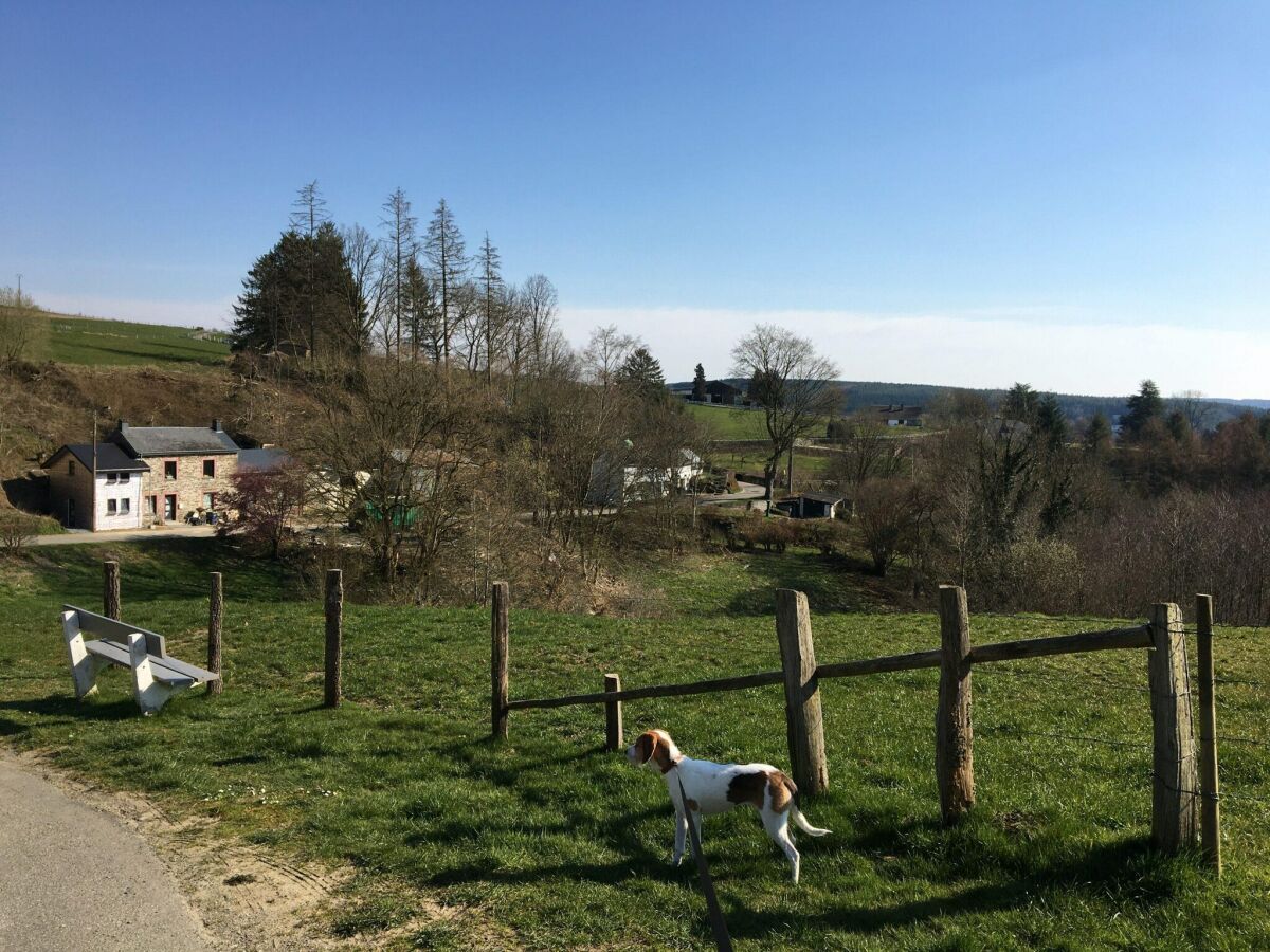 Ferienhaus La Roche-en-Ardenne Umgebung 33