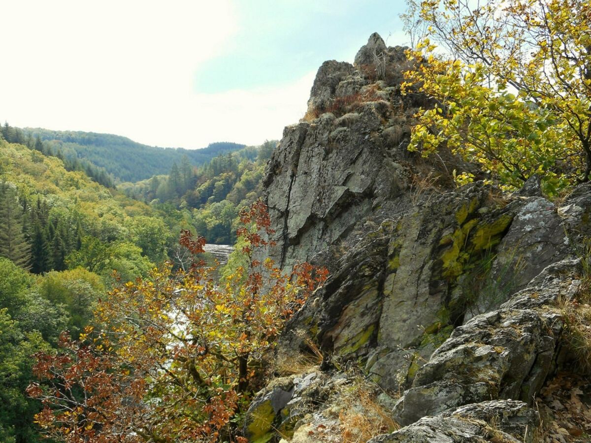 Ferienhaus La Roche-en-Ardenne Umgebung 34