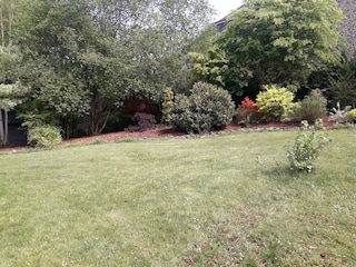 Holiday house La Roche-en-Ardenne Outdoor Recording 3