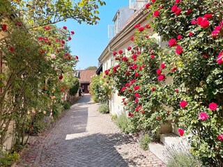 Vakantiehuis Visby  9
