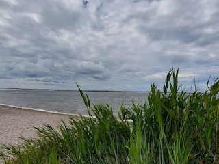 Holiday house Visby  14