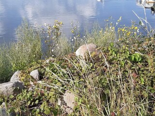 Vakantiehuis Visby  17