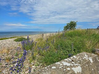 Vakantiehuis Visby  23