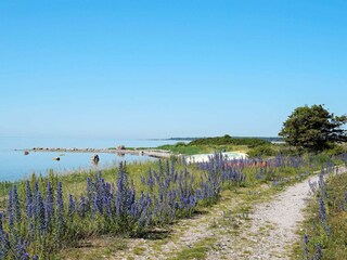 Vakantiehuis Visby  9