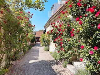 Holiday house Visby  7
