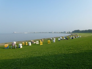 Grünstrand der Grimmershörner Bucht