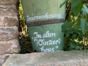 Apartment Appartamento vacanze Steinhauser
