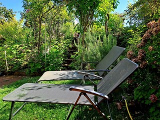 Appartamento Deidesheim Caratteristiche 20