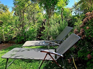 Appartement Deidesheim Équipement 20