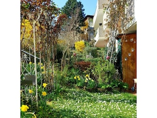 Appartement Deidesheim Équipement 21