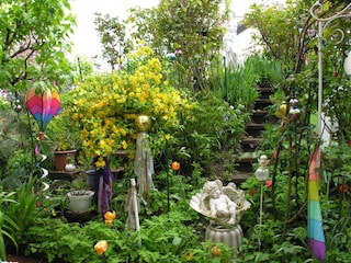 Appartement Deidesheim Kenmerken 22