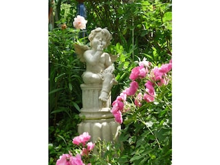 Appartement Deidesheim Kenmerken 23