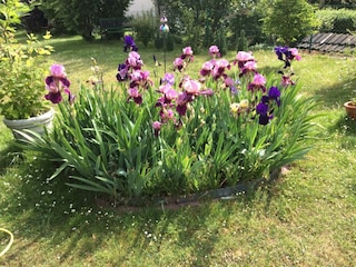 Appartement Deidesheim Équipement 35