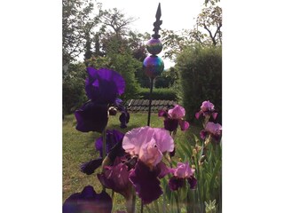 Appartement Deidesheim Kenmerken 36