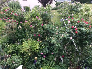 Appartamento Deidesheim Caratteristiche 37