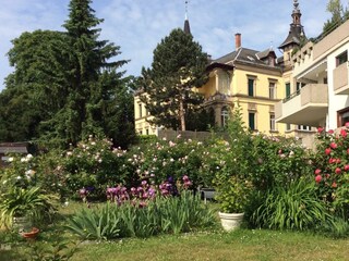 Appartamento Deidesheim Caratteristiche 38