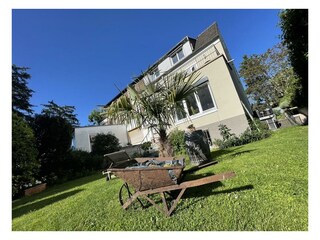 Unser Gärtchen