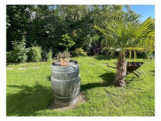Garten Mandelba?umchen