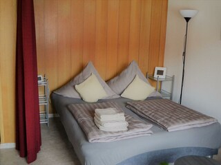 Appartamento Neustadt an der Weinstraße Caratteristiche 26