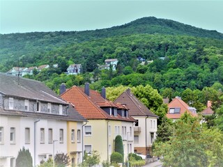 Appartamento Neustadt an der Weinstraße Registrazione all'aperto 4