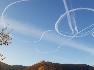 Appartamento Neustadt an der Weinstraße Registrazione all'aperto 11