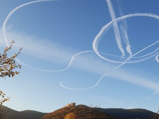 Appartamento Neustadt an der Weinstraße Registrazione all'aperto 12