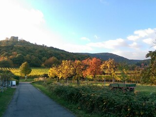 Appartamento Neustadt an der Weinstraße Registrazione all'aperto 16