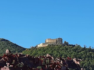 Appartamento Neustadt an der Weinstraße Registrazione all'aperto 17