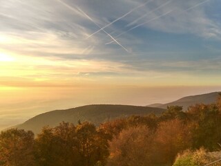 Appartamento Neustadt an der Weinstraße Registrazione all'aperto 13