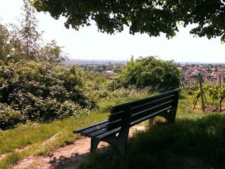 Appartamento Neustadt an der Weinstraße Registrazione all'aperto 19