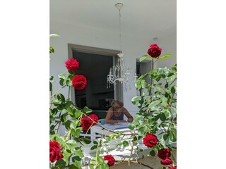 Appartement Neustadt an der Weinstraße Buitenaudio-opname 5